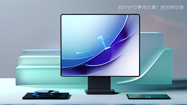 软件许可费用太高？格发帮您降